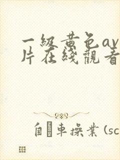 一级黄色av淫片在线观看