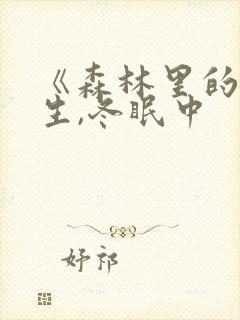 《森林里的熊先生,冬眠中