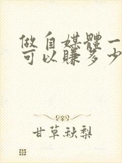 做自媒体一个月可以赚多少