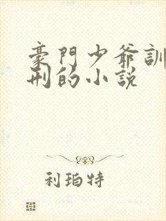 豪门少爷训诫耻刑的小说