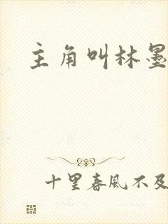 主角叫林墨小说