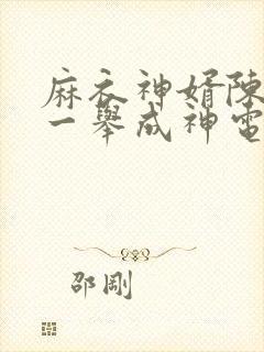 麻衣神婿陈黄皮一举成神电子书