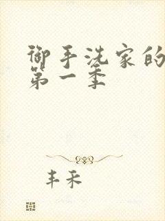 御手洗家的墙洞第一季