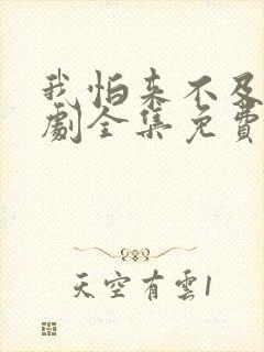 我怕来不及电视剧全集免费看封面