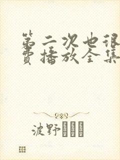 第二次也很美免费播放全集