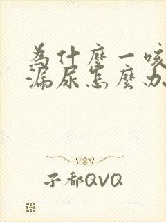 为什么一咳嗽就漏尿怎么办封面