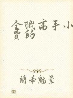 全职高手小说免费的