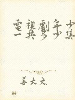 电视剧年少有为一共多少集