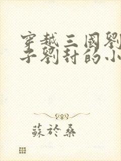 穿越三国刘备养子刘封的小说封面