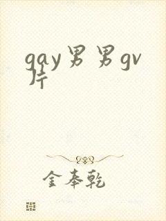 gay男男gv片