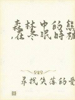 森林中的熊先生,在冬眠时被疼爱了漫画