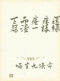 下面瘙痒还有豆腐渣一样绿色的分泌物封面