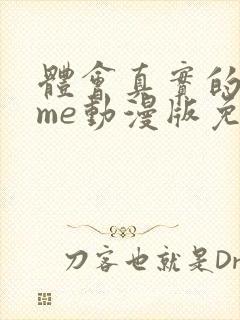 体会真实的game动漫版免费观看