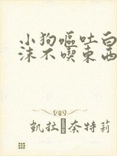 小狗呕吐白色泡沫不吃东西