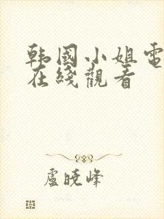 韩国小姐电视剧在线观看