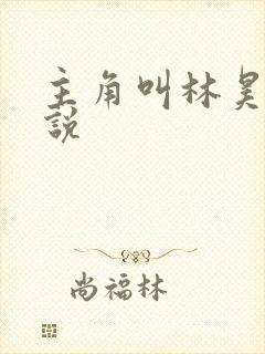 主角叫林昊的小说封面