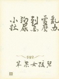 小狗到处乱拉屎拉尿怎么办