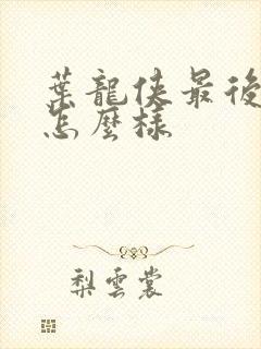 叶龙侠最后结局怎么样