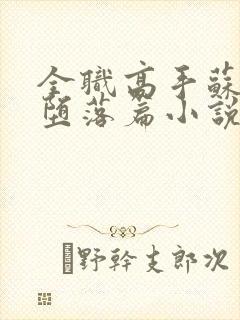 全职高手苏沐橙堕落篇小说