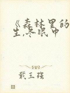 《森林里的熊先生,冬眠中封面