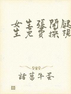 女生张开腿让男生免费操视频