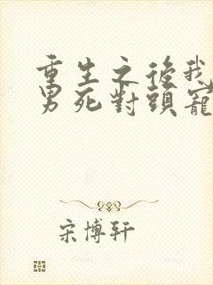 重生之后我被渣男死对头宠上天