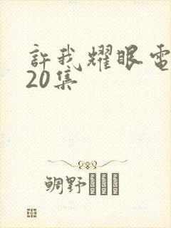 许我耀眼电视剧20集