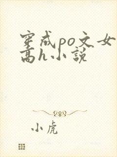 穿成po文女主高h小说