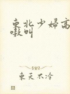 东北少妇高潮嗷嗷叫封面