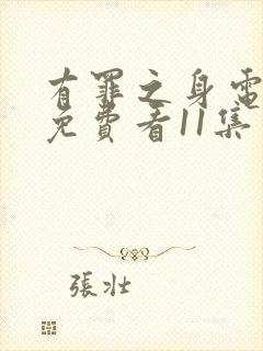 有罪之身电视剧免费看11集