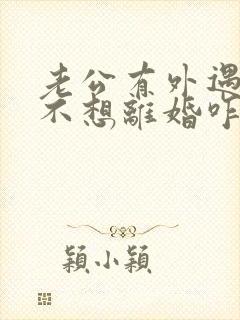 老公有外遇但他不想离婚咋办