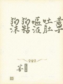 狗狗呕吐黄水泡沫粘液肚子咕噜响