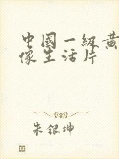 中国一级黄色录像生活片