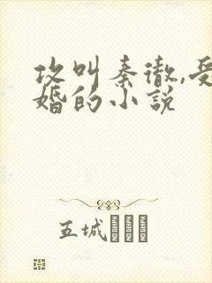 攻叫秦彻,受已婚的小说封面