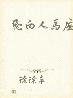 飞向人马座