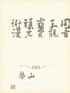 街头霸王同人动漫免费观看