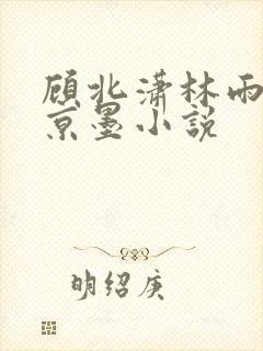 顾北潇林雨菲谢京墨小说