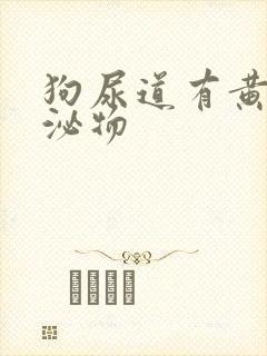 狗尿道有黄色分泌物