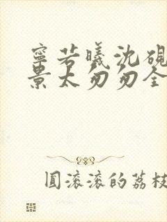 宁若曦沈砚舟盛景太匆匆全文