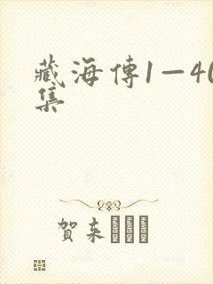 藏海传1—40集