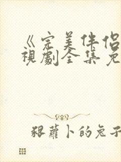 《完美伴侣》电视剧全集免费观看