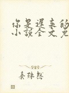 你是迟来的喜欢小说全文免费阅读