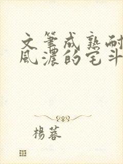 文笔成熟耐看古风浓的宅斗文