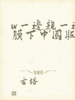 w一边亲一边面膜下中国版韩剧