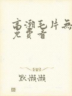 高潮毛片无遮掩免费看