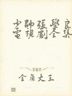 少帅张学良文章电视剧全集免费观看