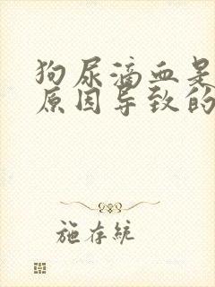 狗尿滴血是什么原因导致的