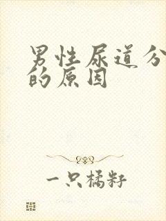 男性尿道分泌物的原因