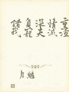 错负深情重生后我宠夫灭渣小说