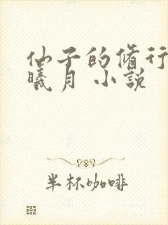 仙子的修行 萧曦月 小说